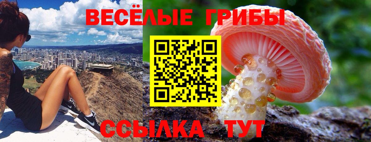 Alpha PVP Кропоткин