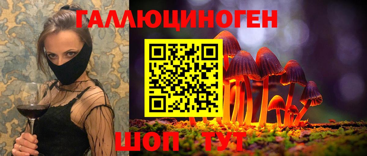 Кропоткин  Галлюциногенные грибы мицелий  Псилоцибиновые грибы Psilocybine cubensis  Вход с VPN 