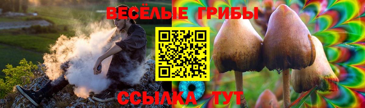 Псилоцибиновые грибы Psilocybe Кропоткин
